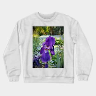 lily Crewneck Sweatshirt